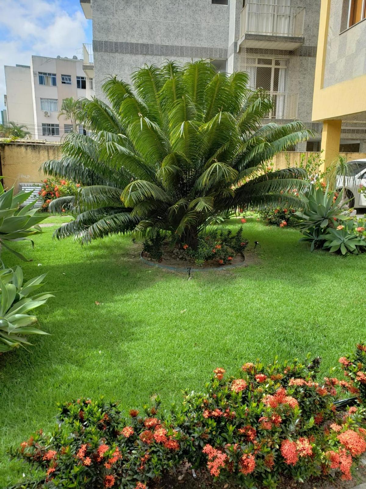 Localizacao Imbativel! A 98M Da Praia Do Forte Com Conforto, Ar-Condicionado E Estacionamento! Cabo Frio Luaran gambar
